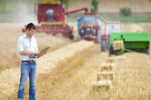 CONDUTTORE IMPRESA AGRICOLA