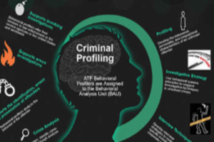 Criminal profiling