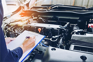 Ispettore dei centri di controllo privati autorizzati all'effettuazione della revisione dei veicoli a motore e dei loro rimorchi