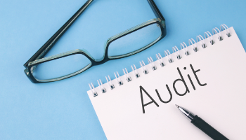 Metodologia di audit