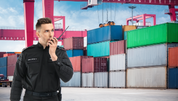PFSO Port Facility Security Officer